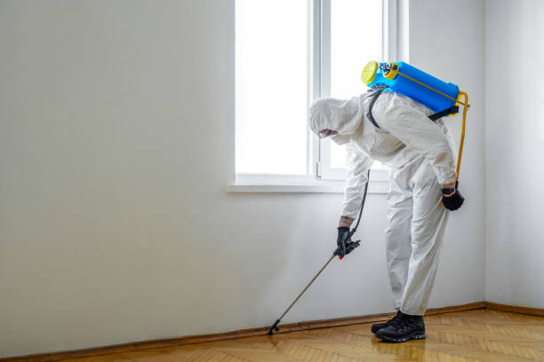 Best Commercial Pest Control  in South Monroe, MI